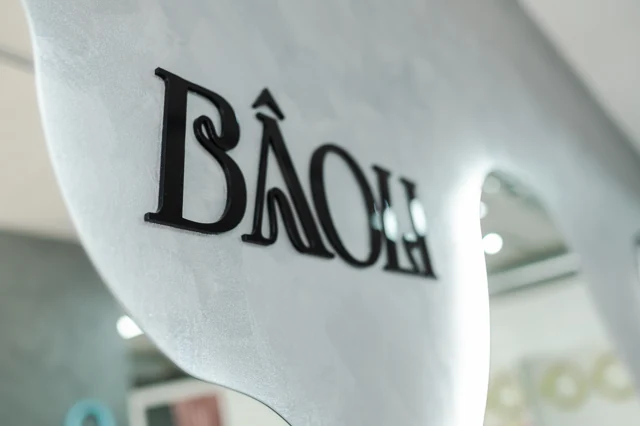 Знакът на BÂOLI